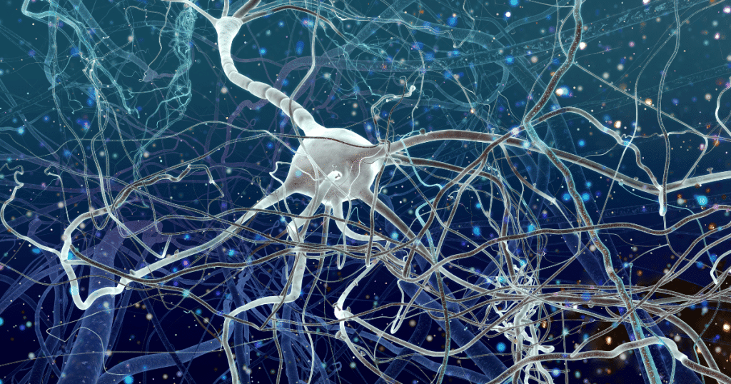 Diferencia entre PNL y bioneuroemoción