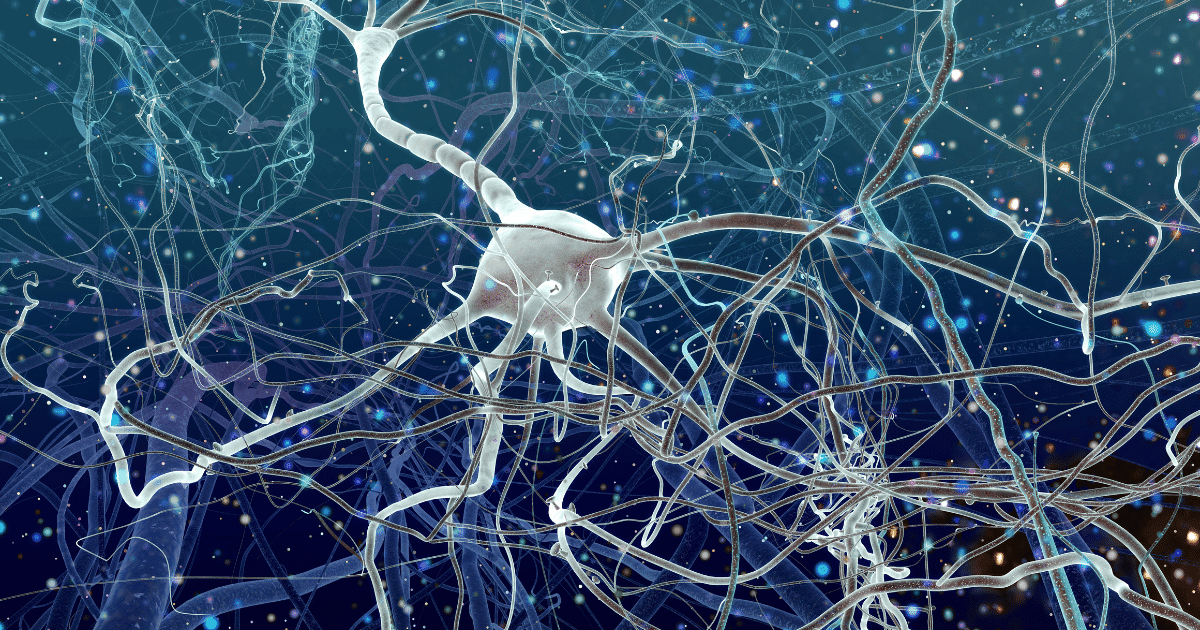 Diferencia entre PNL y bioneuroemoción